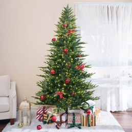 Christmas Trees