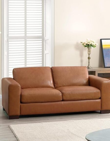 69.6 in. Tan Brown Genuine Leather 2-Seater Loveseat