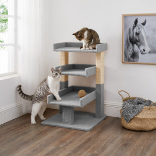Cat Towers
